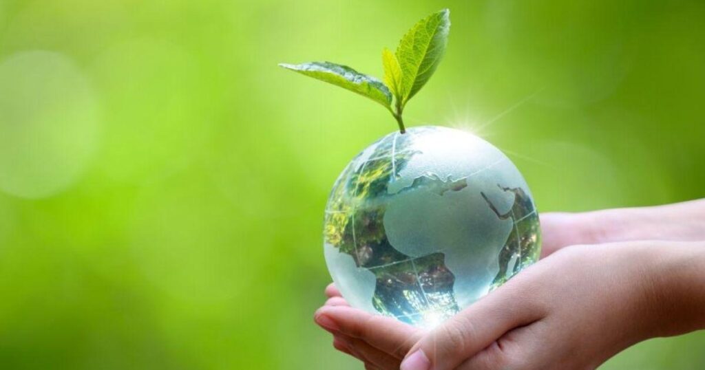 Publicidad Sostenible: Impulsando un Futuro Más Verde y Ético
